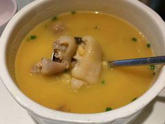 蹄花汤-新蜀会四川豆花(五羊店)