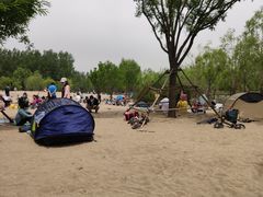 -东郊湿地公园