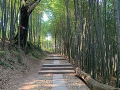 -西湖风景区十里琅珰-五云山