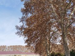 -河南省黄河迎宾馆