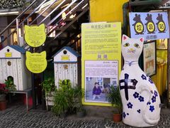 -猫咪博物馆(顶澳仔猫街店)