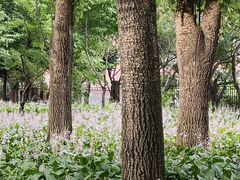 -长春公园(普阳街道)