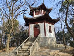 -上海佘山国家森林公园天马山园