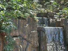 -广州市流溪河国家森林公园