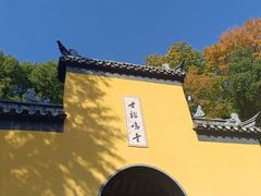 -鸡鸣赐茶(鸡鸣寺路店)