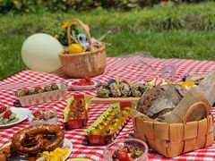 -春花秋色城市公园