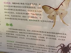 -上海大自然野生昆虫馆(东方明珠·爬宠昆虫探索中心)