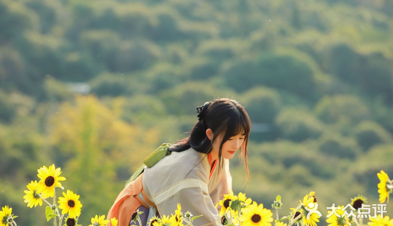 江浙沪的小京都｜无锡灵山小镇拈花湾梵天花海拍照功略