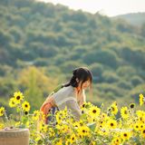 江浙沪的小京都｜无锡灵山小镇拈花湾梵天花海拍照功略