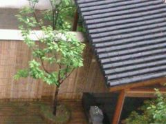 一楼客房自带温泉池-余姚阳明温泉山庄