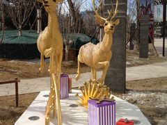 门面-远洋未来广场(育慧北路店)