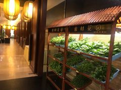 -苏州环秀晓筑养生度假村