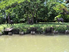-苏州太湖国家湿地公园