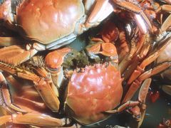 -丫丫蟹庄·苏式园林农家乐·阳澄湖大闸蟹(阳澄湖莲花岛店)