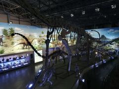 -中国西峡恐龙遗迹园