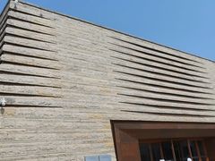 -盘龙城国家考古遗址公园