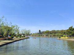 -上海鲜花港