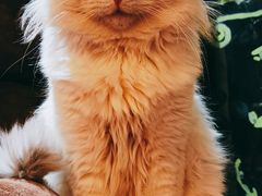 -平行世界·猫咖(首经贸店)