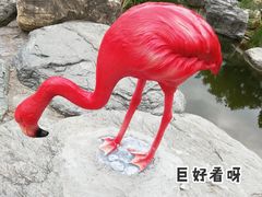-秦岭欢乐世界