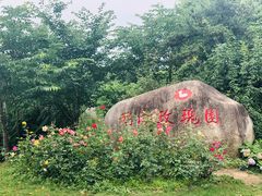 -鹅湖玫瑰文化园