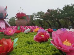 -映月湖公园