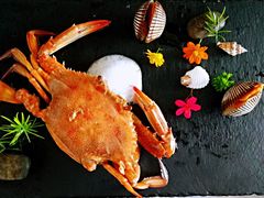 -美人鱼帆船海鲜餐厅(七星湾游艇会店)