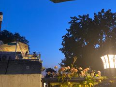 -Sirena海妖日咖夜酒