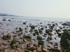 -青岛第二海水浴场