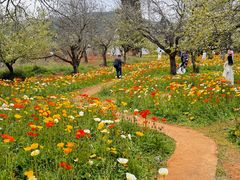 -名花谷生态庄园