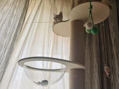 -谐和益家动物医院·免疫绝育·血液透析·宠保定点医院(高新伊藤分院)