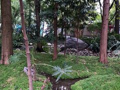 -成都市活水公园