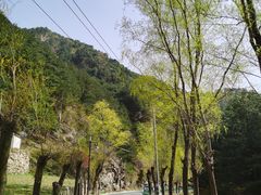 -王顺山国家森林公园