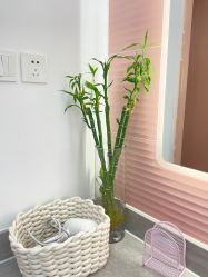 -苗方清颜痘肌研究所