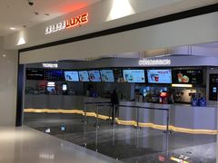 -红星电影世界上海张江绿地店