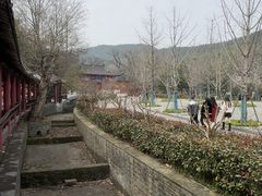 -冶父山国家森林公园
