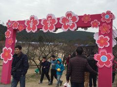 -香雪海