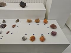 -青岛贝壳博物馆