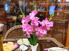 -荷花泰菜(东方新天地店)