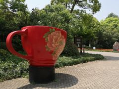 -上海海湾国家森林公园