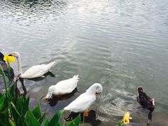 iphone_upload_pic-上海怡沁园度假酒店