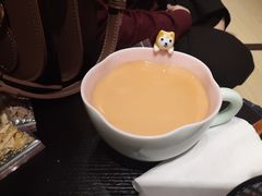 -逗柴咖啡屋·狗咖猫咖宠物桌游