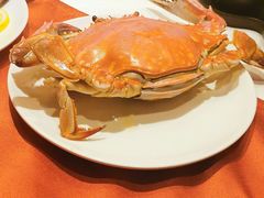 -骏莱海鲜鱼港(五角场店)