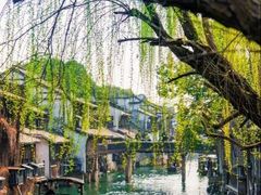 -乌镇景区