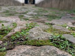 -上海市龙华烈士陵园