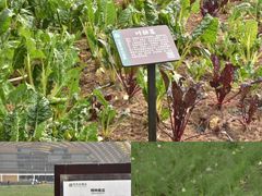 -中国天府农业博览园