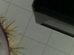 android_upload_pic-台北101