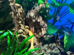 -太平洋海底世界