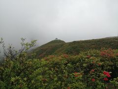 -大围山国家森林公园
