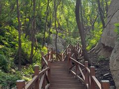 -大岭沟猕猴桃谷风景区