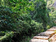 -雁荡山三折瀑景区